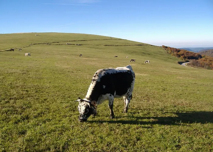 Camping Base De Loisirs Du De La Moselotte Saulxures-sur-Moselotte